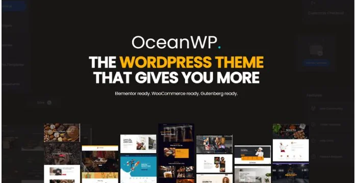 OceanWP PRO + Extesnions Theme